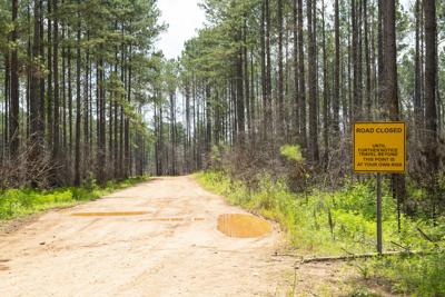 Fox Creek Road could be closed permanently by Tallapoosa County