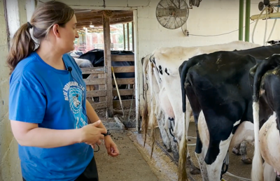 Blue Ribbon Dairy provides fresh milk for surrounding areas