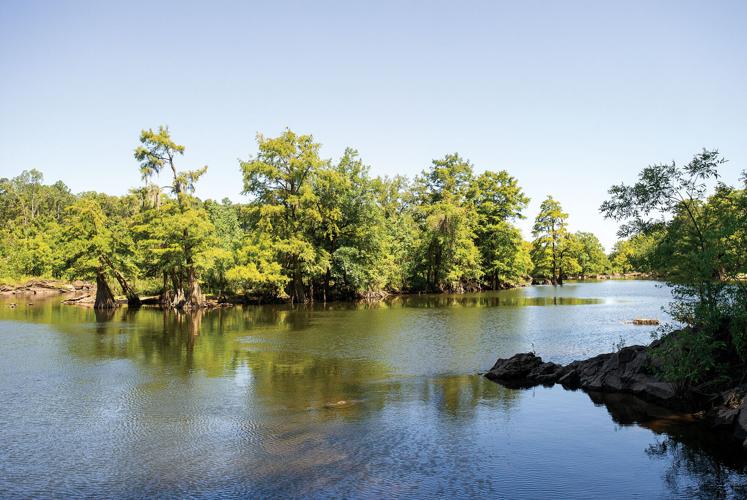 Man reunited with watch late father lost more than a decade ago