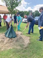 Wetumpka celebrating Arbor Day with tree planting