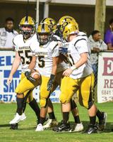 Dadeville faces what feels like must-win region game