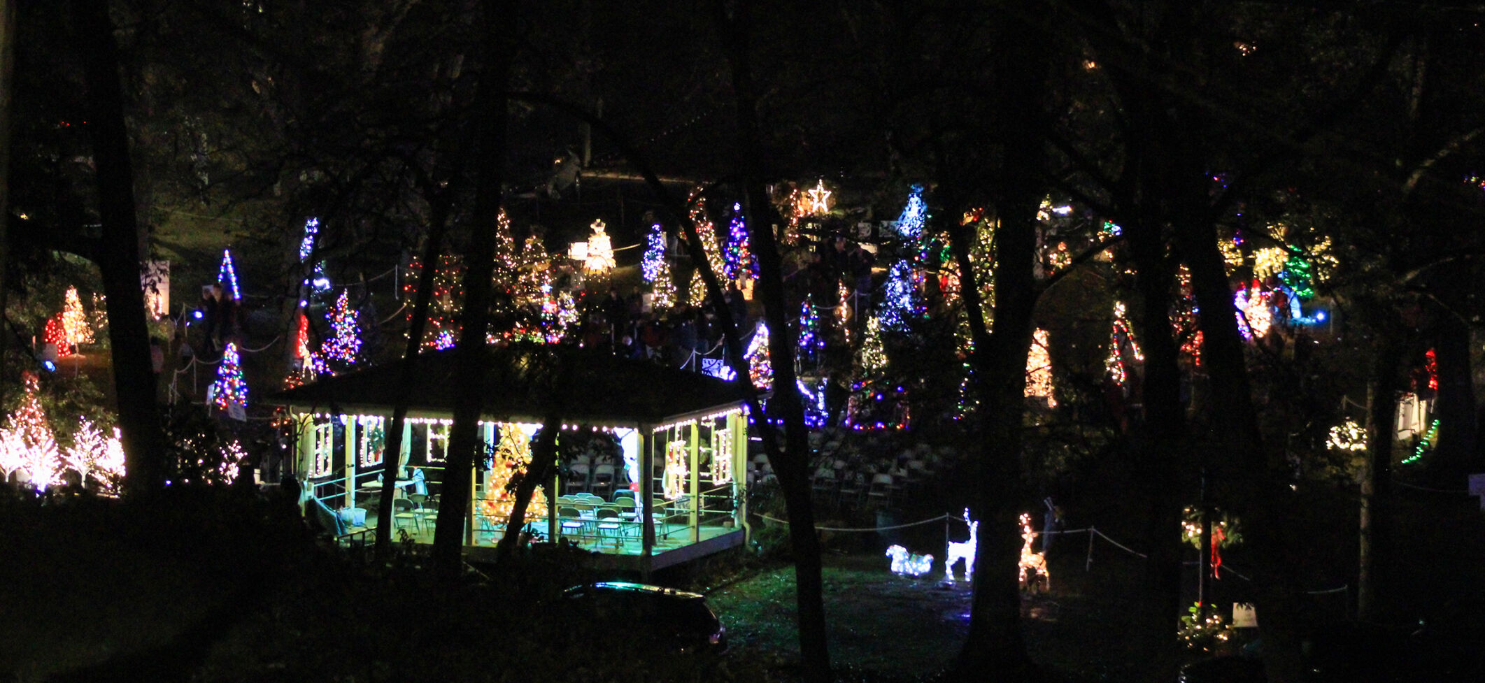 PHOTOS: Dadeville Christmas lighting