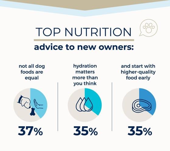 Advice from dog veterans (5)