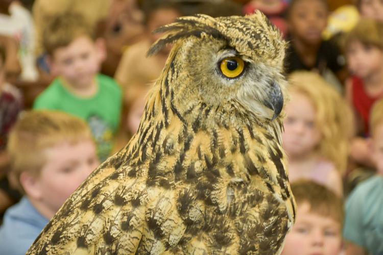 072526 Library Animals 4.jpg