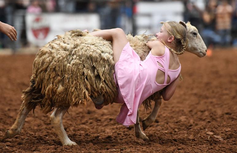 Lake Martin Rodeo