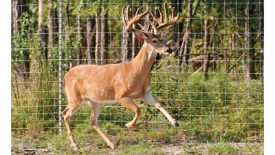 Hunting season requires following a number of safety measures