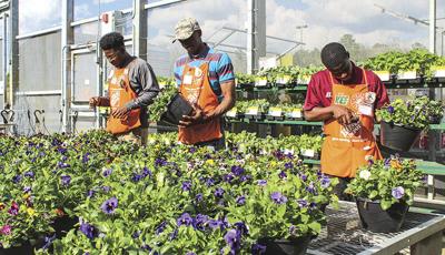 Harris offers advice to those eager to work in yard in warm weather
