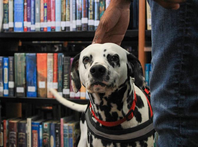 PHOTOS: Therapy dog comes to Dadeville Library