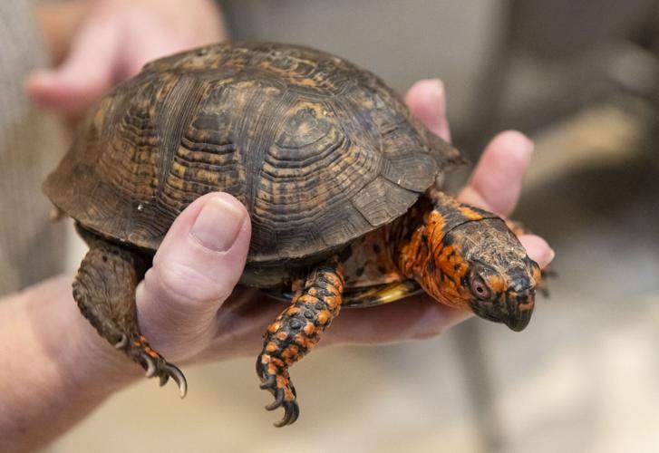 20260311 Crater 003.jpg