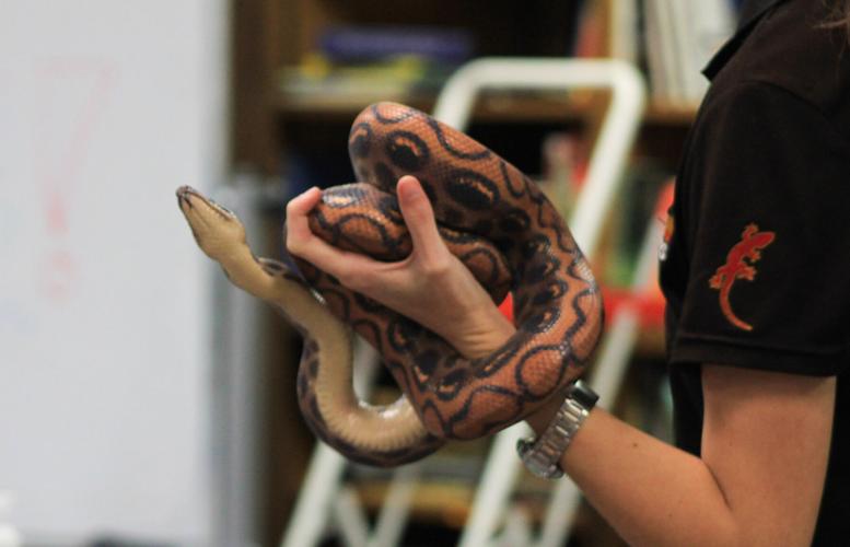 PHOTOS: Animal Tales comes to Dadeville's library