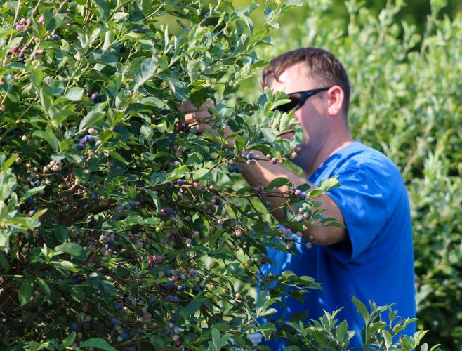 PHOTOS: Living Stones Community local mission trip