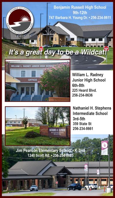 072926 ACS schools graphic.jpg