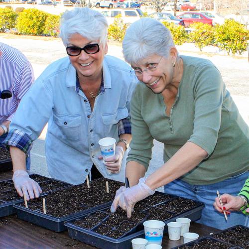 Starting Veggie Seeds