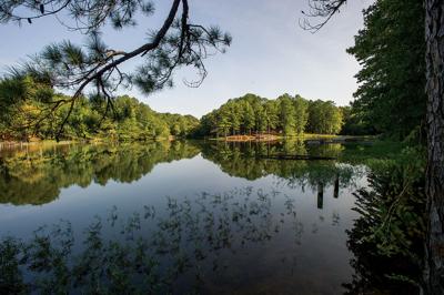 Luxury home developer expands to Lake Martin