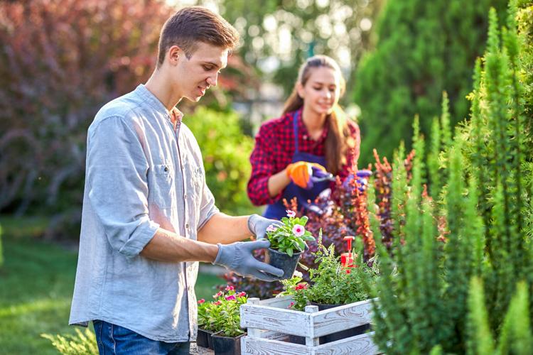 Tips from Local Gardeners