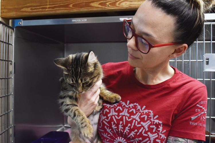 Lake Martin Animal Shelter sees less pets euthanized, more adopted in 2019