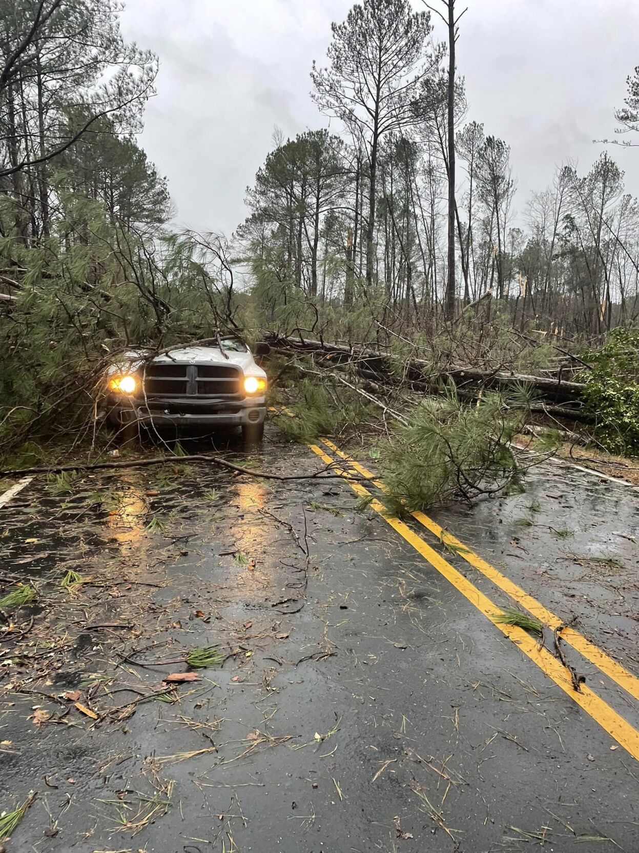 PHOTOS: Damage from tornado-warned storm across Tallapoosa County