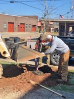 Beautification board gives Dadeville the royal TREEtment