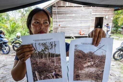 Ika Magdalena, a native Dayak villager, shows pictures of how her rubber trees were destroyed by an industrial logging company
