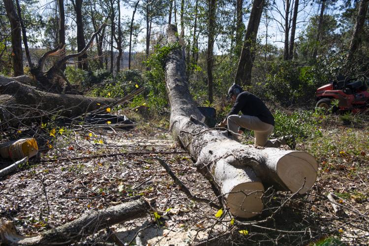 PHOTOS: Wetumpka Cleanup