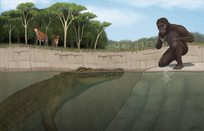 Crocodile-like predator with big lump preyed on man’s ancestors, suggests study