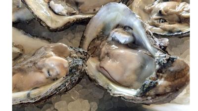 Summer celebrates reinvigorated Alabama Gulf seafood