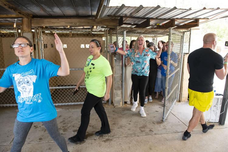 PHOTOS: Jordan's Way helps raise funds for animal shelters
