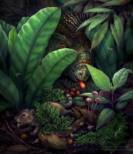 Botanical Pompeii find shows flowering plants flourished before dinosaur extinction