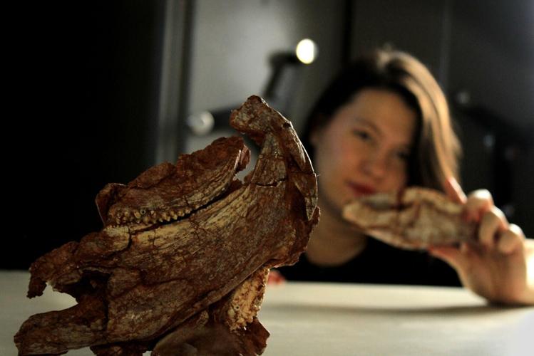 Parrot-beaked beast that lived with dinosaurs in Brazil may have Scottish relatives