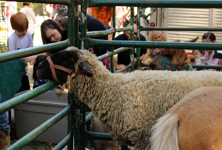 PHOTOS: Oktoberfest kicks off in Alexander City