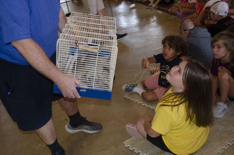 PHOTO GALLERY: Eclectic library's summer reading program