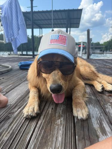 Patriotic Pup on dock.jpeg