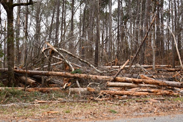 PHOTOS: Storm damage around the Lake Martin area