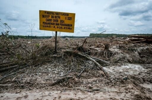 Forest cleared for industry logging in Indonesia's Central Kalimantan Province