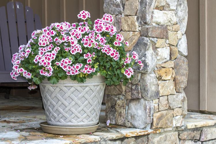 Cue the colorful containers