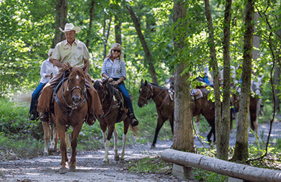 Horsing around the lake
