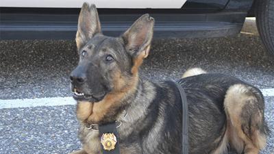 Alex City says goodbye to beloved K9 officer