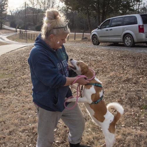 For the LOVE of Dogs