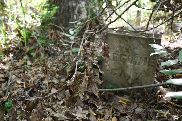 PHOTOS: Dozens of old Youngsville graves lie in the woods of the Russell Mills estate