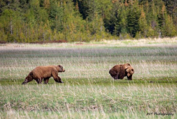 What to Know Before Visiting Alaska: 14 Tips to Prepare You in 2026