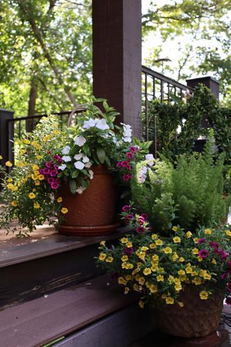 Cue the colorful containers