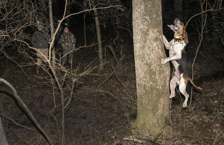 Champions of the Night