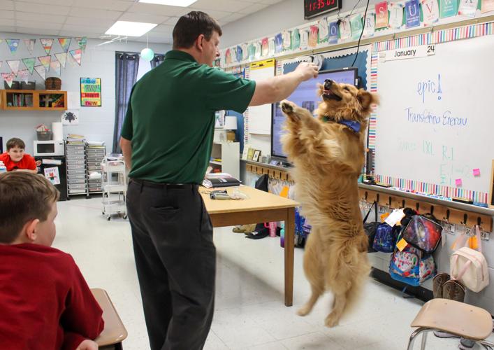 4-H dog program makes its rounds in schools