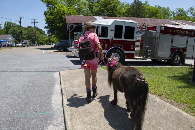 PHOTOS: May Market and Crawfish boil in Eclectic