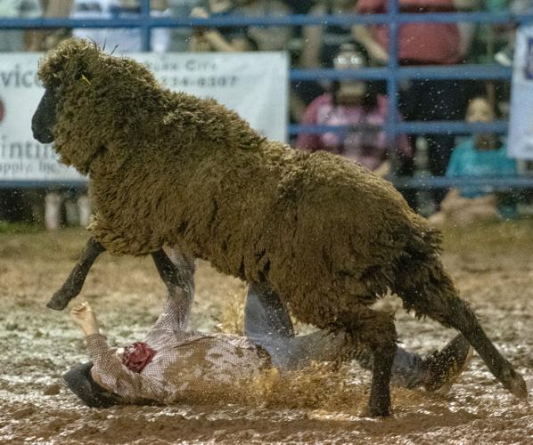 PHOTOS: Benjamin Russell FFA Alumni Rodeo