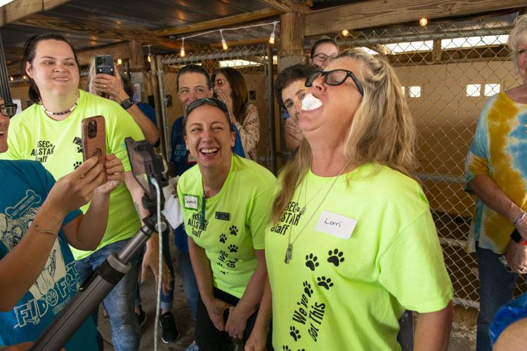 PHOTOS: Jordan's Way helps raise funds for animal shelters