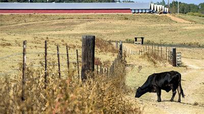 Farmers, lake hit hard by drought