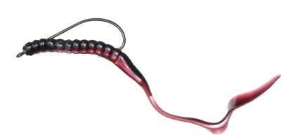 The Plastic Worm