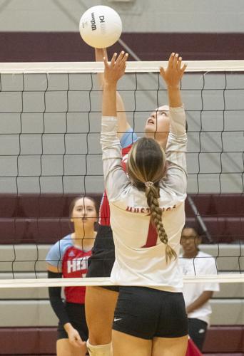 PHOTOS: Elmore County volleyball hosts block party
