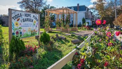 Near this city's new green spaces, a dramatic reduction in crime